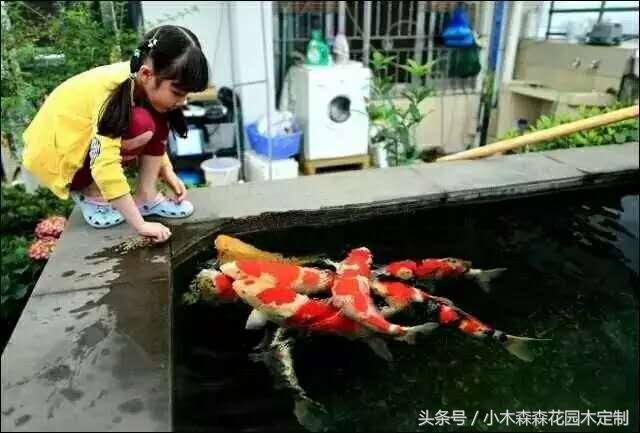 別墅花園之魚池設(shè)計