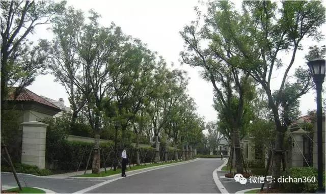 綠城別墅項目景觀設計手法（全套）