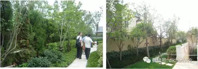 綠城別墅項目景觀設計手法（全套）