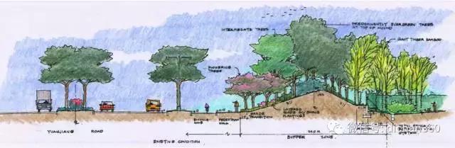 綠城別墅項目景觀設計手法（全套）