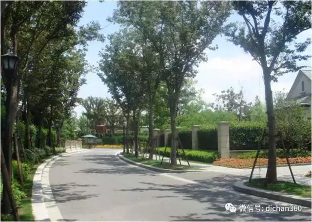 綠城別墅項目景觀設計手法（全套）