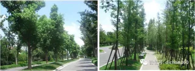 綠城別墅項目景觀設計手法（全套）