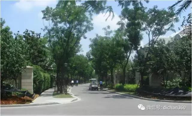 綠城別墅項目景觀設計手法（全套）