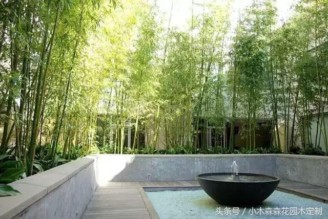 2024新歐式極簡(jiǎn)主義別墅花園