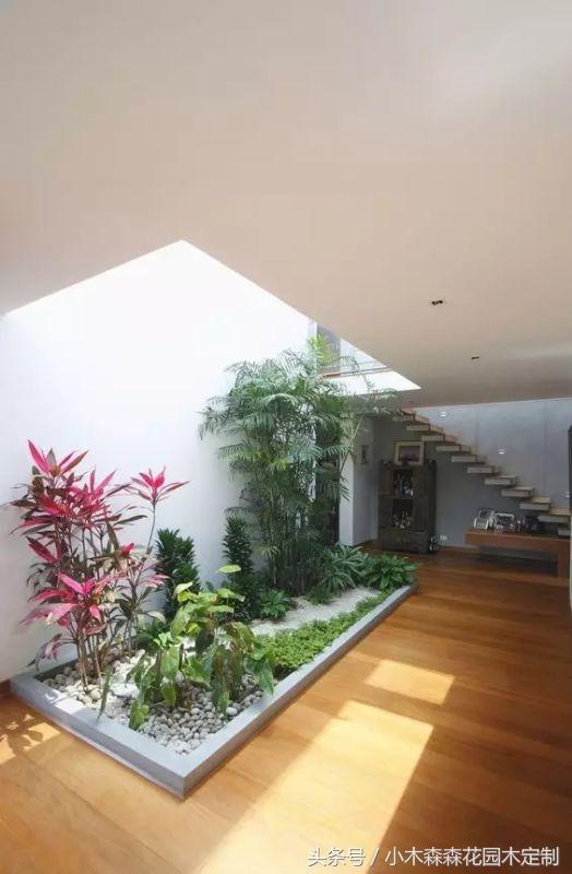 2024新歐式極簡(jiǎn)主義別墅花園