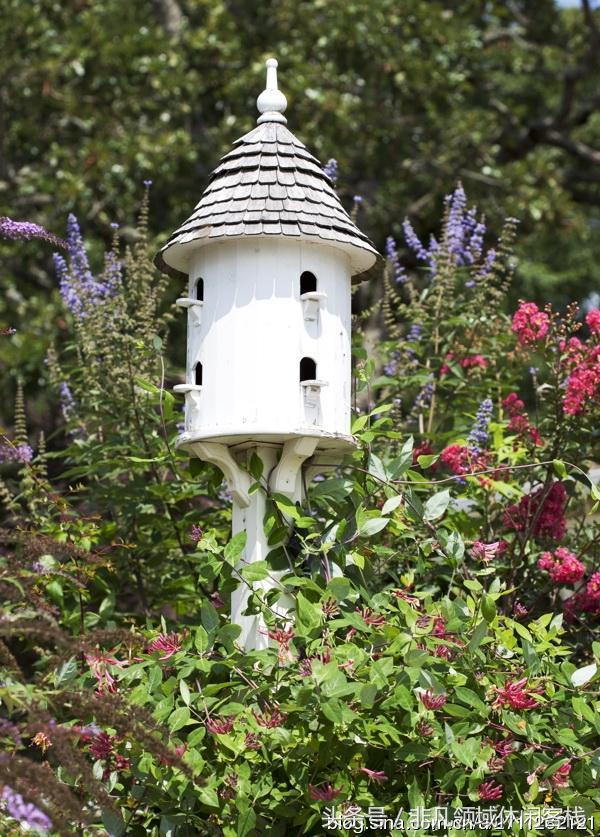 鄉(xiāng)村小別墅的風景