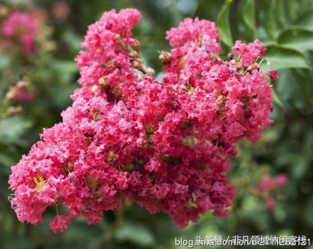 鄉(xiāng)村小別墅的風景