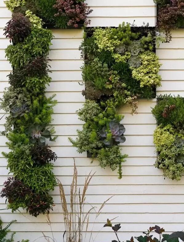 別墅景墻設(shè)計(jì)，多姿多彩