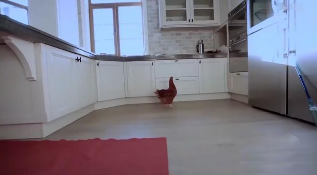 董潔的三層獨(dú)棟小別墅，低調(diào)而溫馨，價(jià)值四千萬