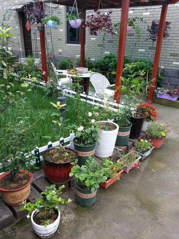 11.5X10.1米農(nóng)村別墅設(shè)計圖，布局實用，造價經(jīng)濟(jì)！