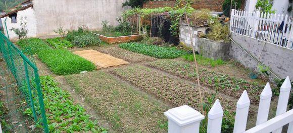 11.5X10.1米農(nóng)村別墅設(shè)計圖，布局實用，造價經(jīng)濟(jì)！