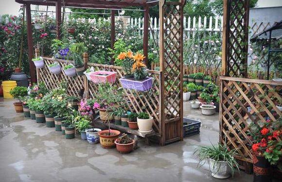 11.5X10.1米農(nóng)村別墅設(shè)計圖，布局實用，造價經(jīng)濟(jì)！