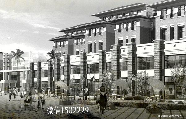 農(nóng)村小別墅設計圖 新農(nóng)村三層住宅設計圖 兩層自建別墅施工圖紙