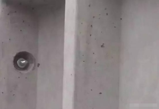 裝配式低層住宅，是未來(lái)農(nóng)村自建房的必然發(fā)展趨勢(shì)