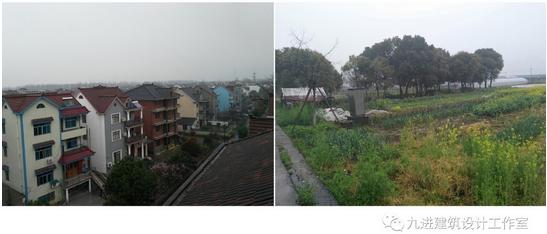 奇！房主稱它為“元寶樓”，它卻綠枝不斷四時(shí)春