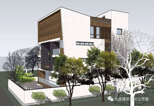 奇！房主稱它為“元寶樓”，它卻綠枝不斷四時(shí)春