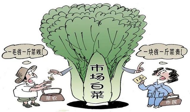 1塊錢買200套別墅圖紙，拿什么拯救農(nóng)村自建蓋房現(xiàn)狀？