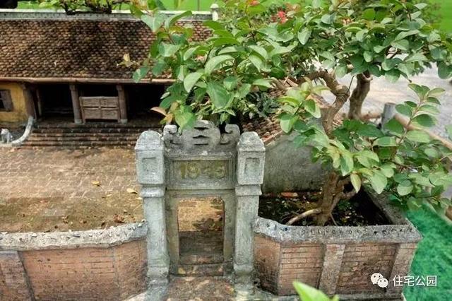 1000元買的農(nóng)家小院，有樹(shù)有水有大瓦房，值么？