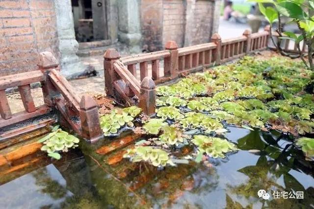 1000元買的農(nóng)家小院，有樹(shù)有水有大瓦房，值么？