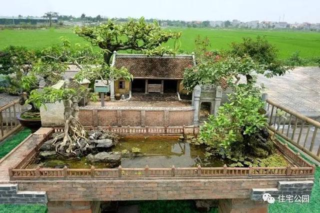 1000元買的農(nóng)家小院，有樹(shù)有水有大瓦房，值么？