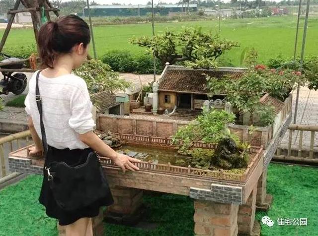 1000元買的農(nóng)家小院，有樹(shù)有水有大瓦房，值么？