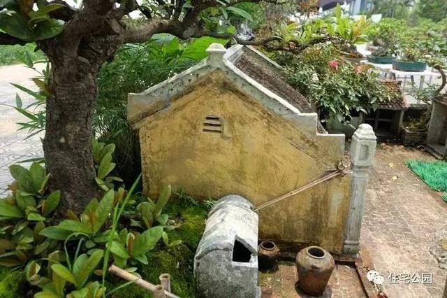 1000元買的農(nóng)家小院，有樹(shù)有水有大瓦房，值么？