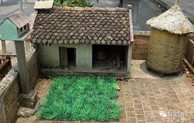 1000元買的農(nóng)家小院，有樹(shù)有水有大瓦房，值么？