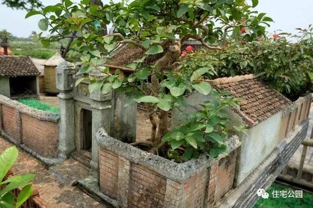 1000元買的農(nóng)家小院，有樹(shù)有水有大瓦房，值么？