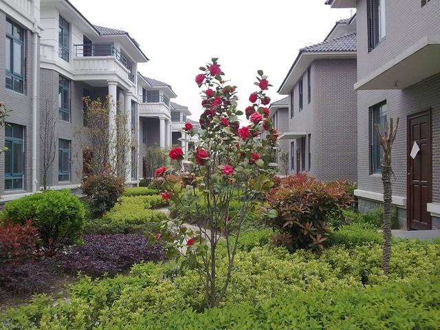 這3種房子別混淆 小產(chǎn)權(quán)房+宅基地房屋+商品房