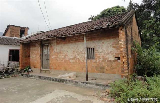 2024年農(nóng)村房屋政策，這三種房屋要被回收