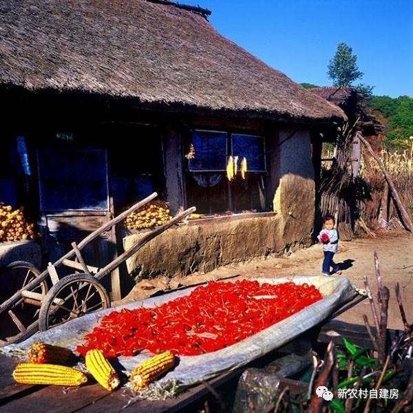 80年代的東北農(nóng)村房屋，看哭了好多人