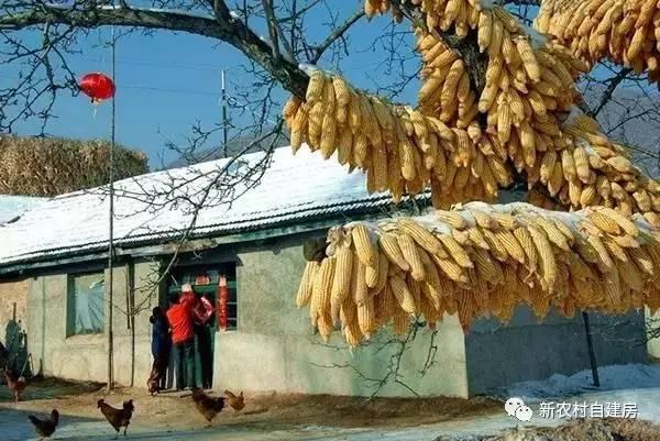 80年代的東北農(nóng)村房屋，看哭了好多人