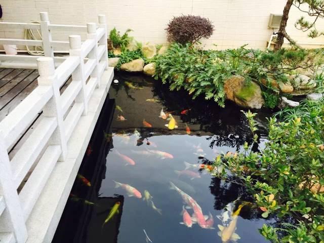 造價千萬的農(nóng)村豪宅，一塊石頭就花了45萬