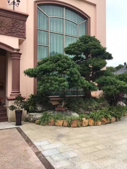 造價千萬的農(nóng)村豪宅，一塊石頭就花了45萬