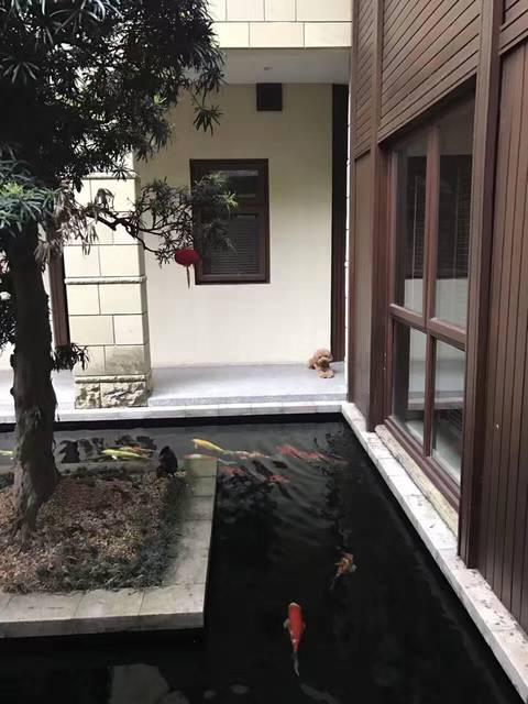 造價千萬的農(nóng)村豪宅，一塊石頭就花了45萬