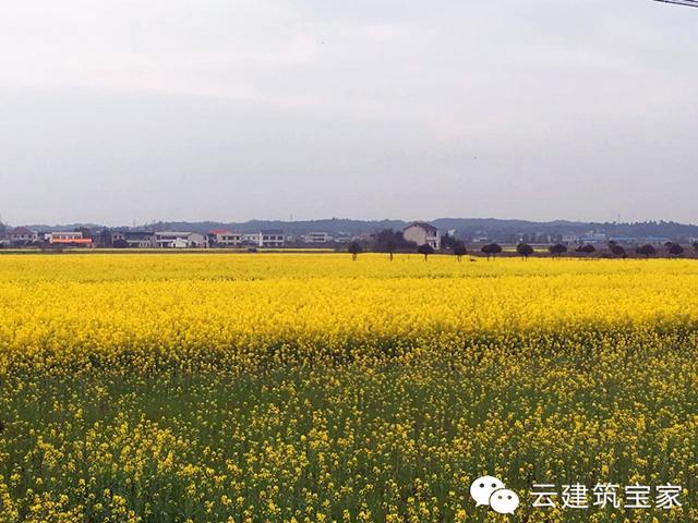 五一小長假，不想看人頭擁擠？回鄉(xiāng)，看人家怎么玩出品味