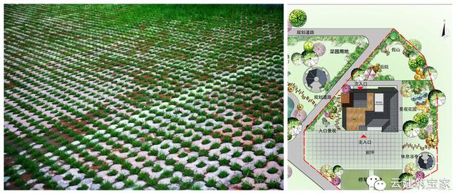 五一小長假，不想看人頭擁擠？回鄉(xiāng)，看人家怎么玩出品味