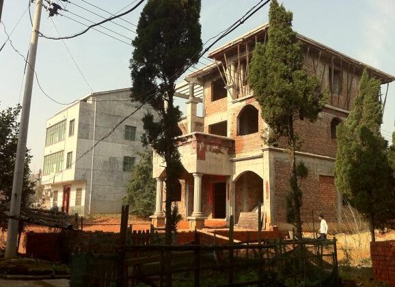 11.4米x11.5米農(nóng)村自建房，有前院還有后院，別說不羨慕