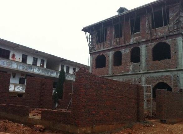 11.4米x11.5米農(nóng)村自建房，有前院還有后院，別說不羨慕