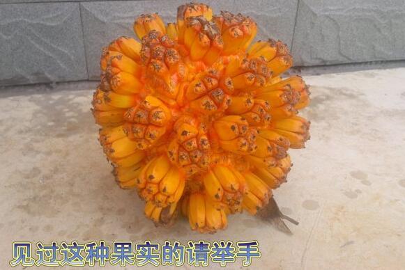 粵西網(wǎng)友建房記錄，讓本想在城里買房的都心動(dòng)了，改回鄉(xiāng)去建房了