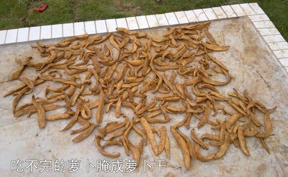 粵西網(wǎng)友建房記錄，讓本想在城里買房的都心動(dòng)了，改回鄉(xiāng)去建房了