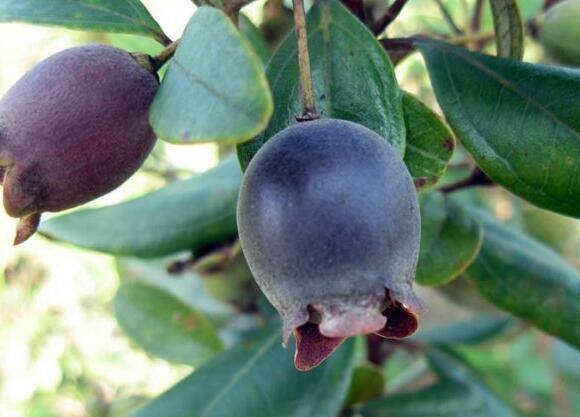 粵西網(wǎng)友建房記錄，讓本想在城里買房的都心動(dòng)了，改回鄉(xiāng)去建房了