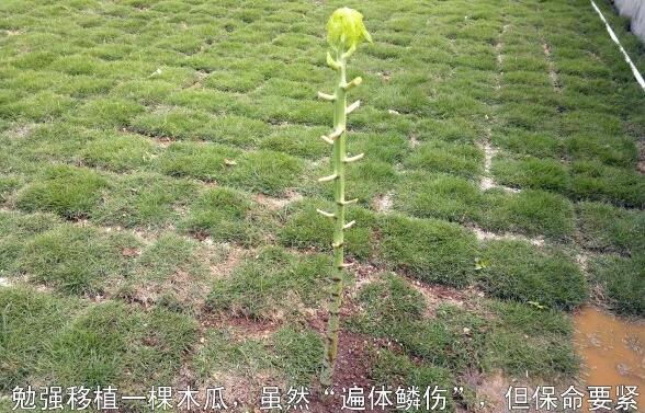 粵西網(wǎng)友建房記錄，讓本想在城里買房的都心動(dòng)了，改回鄉(xiāng)去建房了