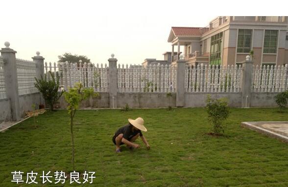 粵西網(wǎng)友建房記錄，讓本想在城里買房的都心動(dòng)了，改回鄉(xiāng)去建房了