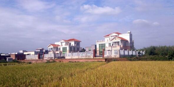 粵西網(wǎng)友建房記錄，讓本想在城里買房的都心動(dòng)了，改回鄉(xiāng)去建房了