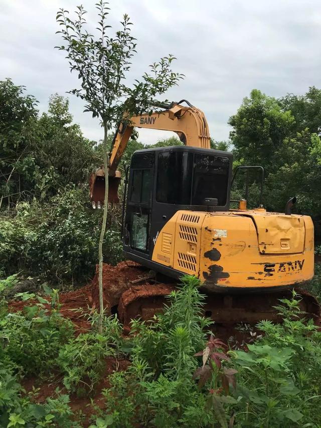 11.5米×10.5米自建小別墅建成，終于實(shí)現(xiàn)父母多年的心愿