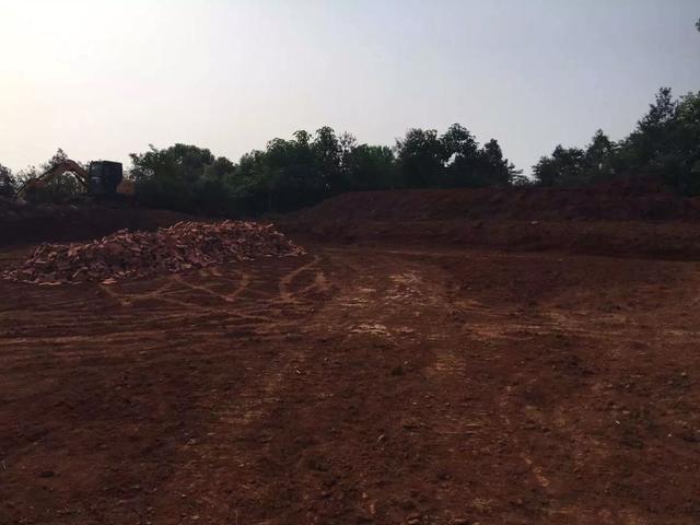 11.5米×10.5米自建小別墅建成，終于實(shí)現(xiàn)父母多年的心愿