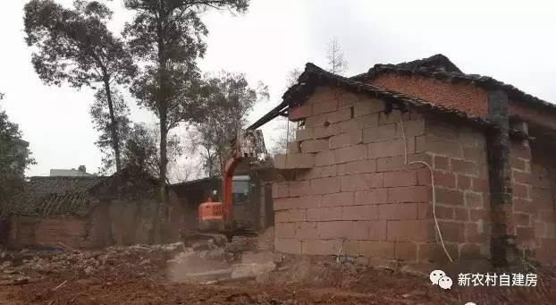 65建兄弟雙拼別墅，重回農(nóng)村，只為父母的期盼