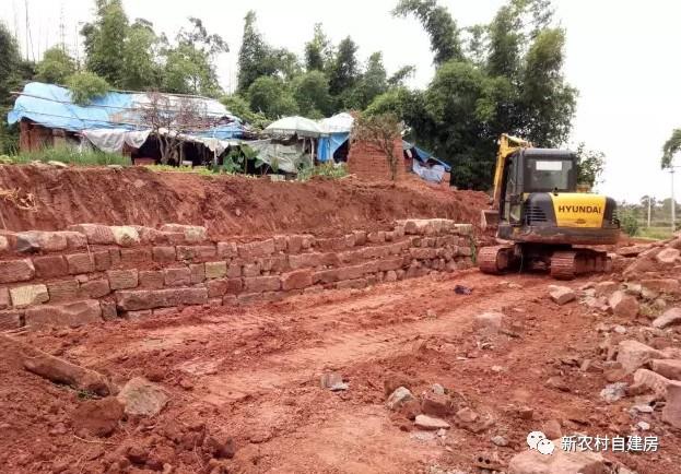 65建兄弟雙拼別墅，重回農(nóng)村，只為父母的期盼