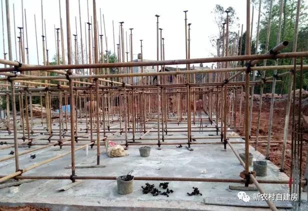 65建兄弟雙拼別墅，重回農(nóng)村，只為父母的期盼